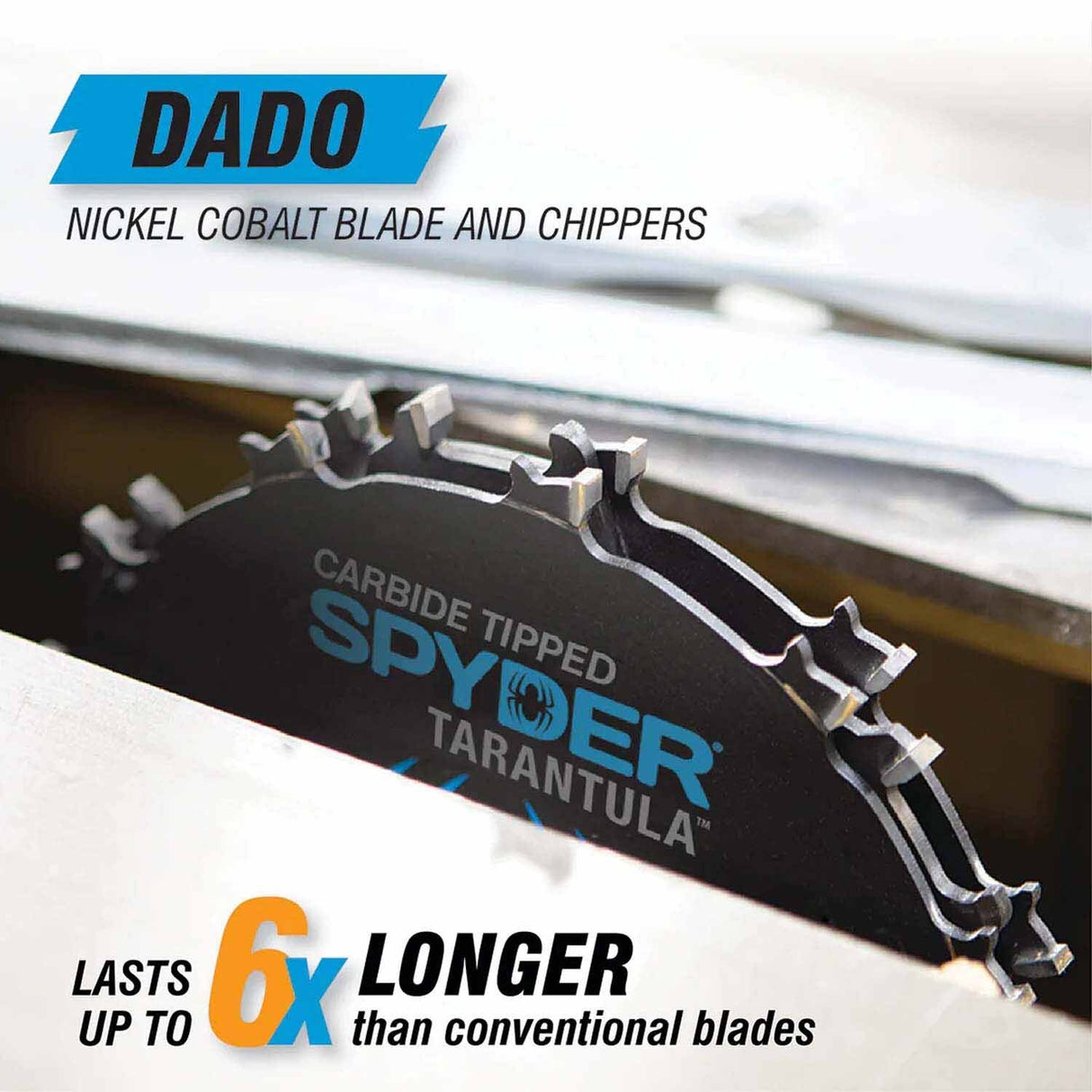 Spyder 13023 6-Inch 12-Tooth Dado Tungsten Carbide Tipped Steel Circular Saw Blade - 5