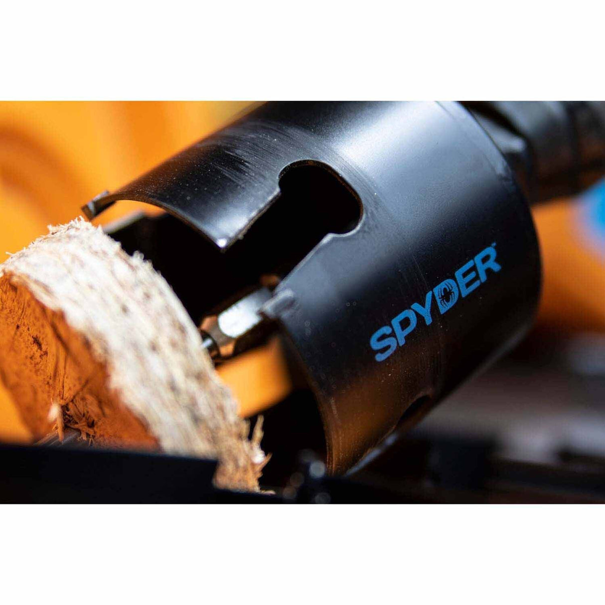 Spyder 600047CF 4-3/4-Inch Tungsten Carbide Tipped (TCT) Non-Arbored Hole Saw - 6