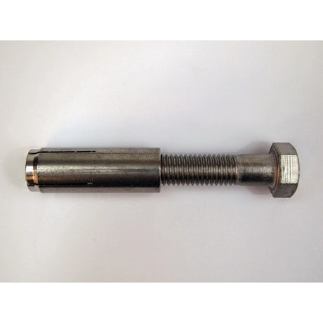 Werner A570004 A570004 Stainless Steel REPLACEMENT CONCRETE BOLTS FOR 5K Stainless Steel MEGA-SWIVEL