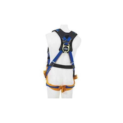 Werner H162004 Blue Armor, Climbing/Positioning, 4 D Rings, Harness, XL - 3