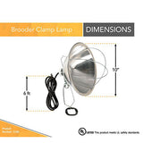 Woods 166 Clamp Lamp with 10 Inch Reflector and Bulb Guard (300 Watt Bulb, 6 Foot Cord) - 2