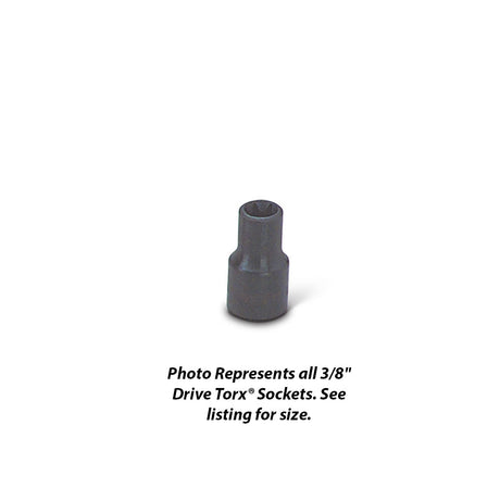 Wright Tool 9255 3/8" Drive Standard Torx Socket E-10