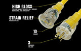 Yellow Jacket 2992 Generator Cord, 100 Foot - 6