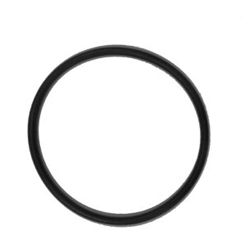 Chapin 6-2421 O-Ring for 1949 Sprayer